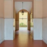 Soloroma